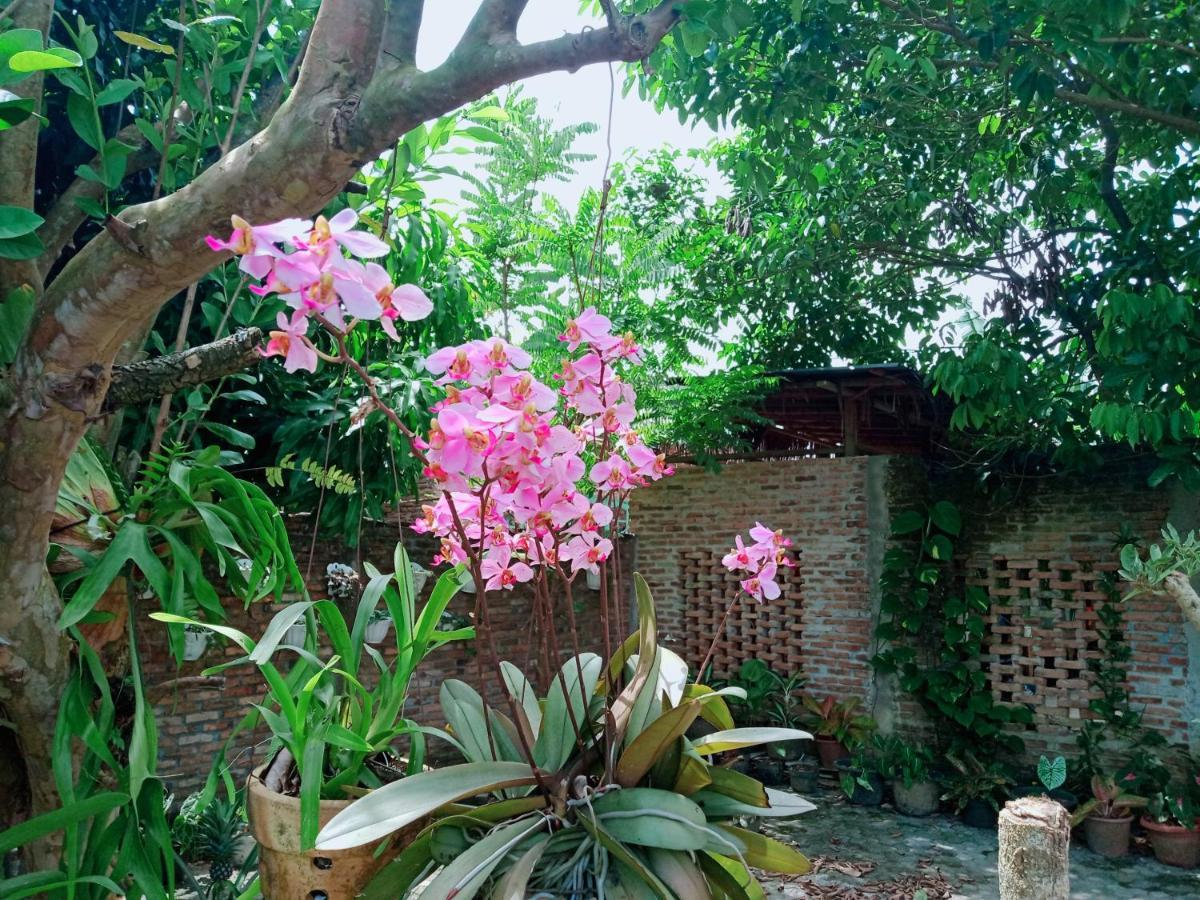 Bua Guest House Medan Esterno foto