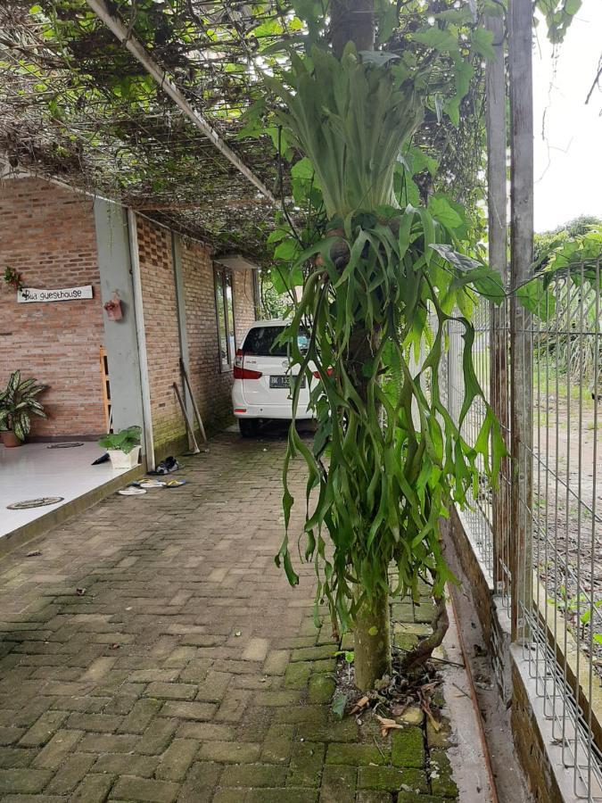 Bua Guest House Medan Esterno foto