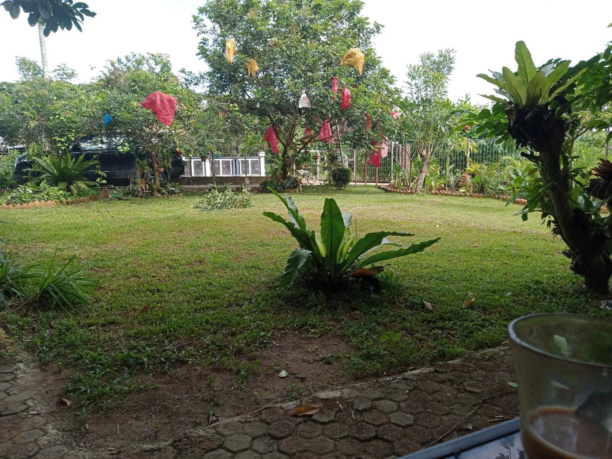 Bua Guest House Medan Esterno foto
